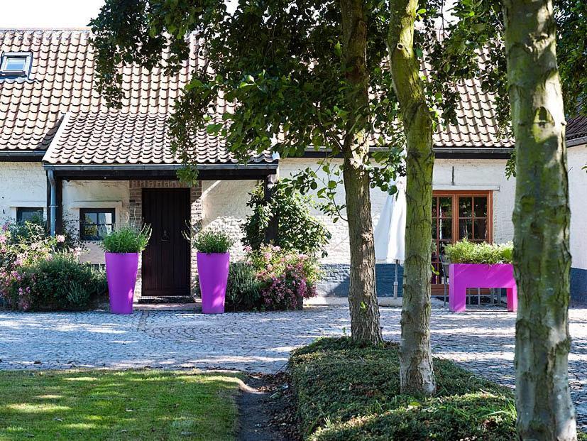 Country House Duinhof دي هان المظهر الخارجي الصورة